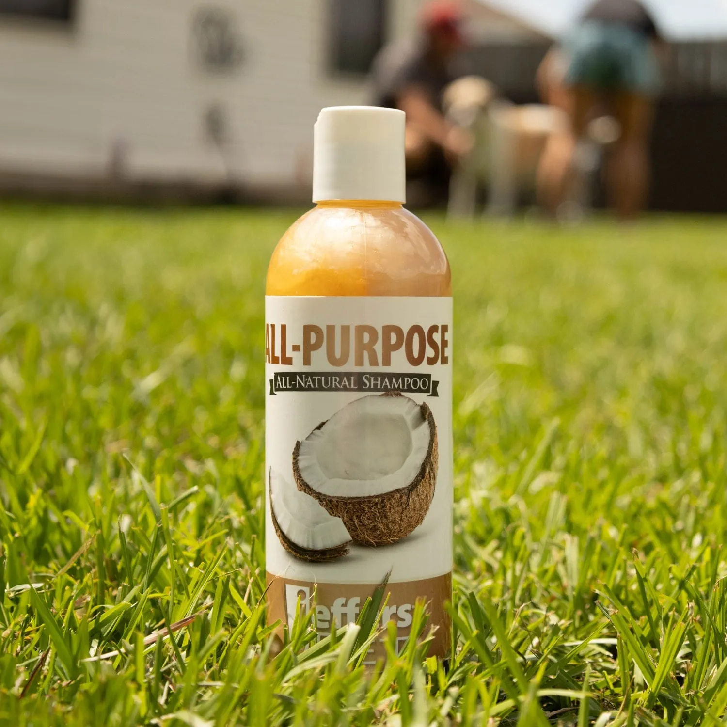 Jeffers All-Purpose Shampoo for Dogs and Cats