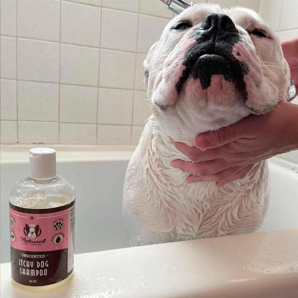 Natural Dog Company Unscented Itchy Skin Hypoallergenic Dog Shampoo 12oz