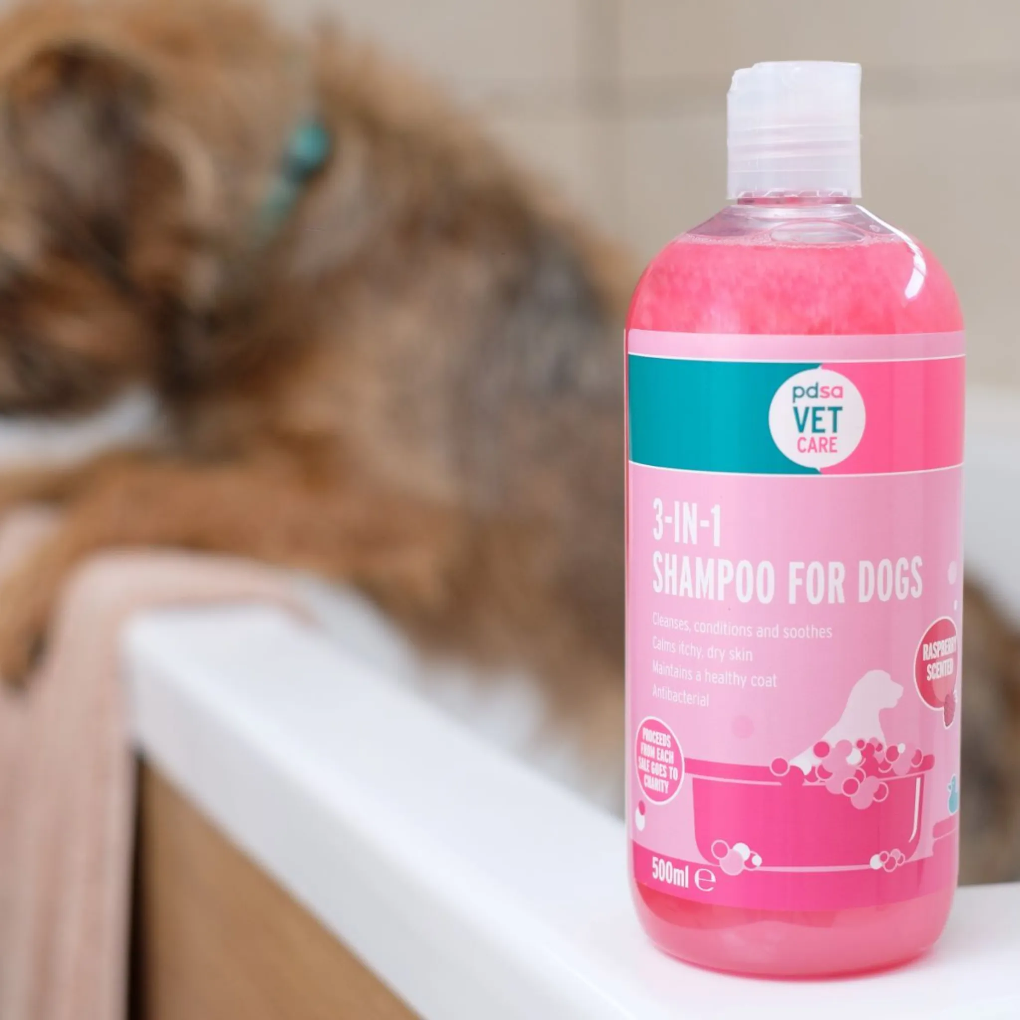 PDSA Vet Care | 3-in-1 Shampoo for Dogs 500ml