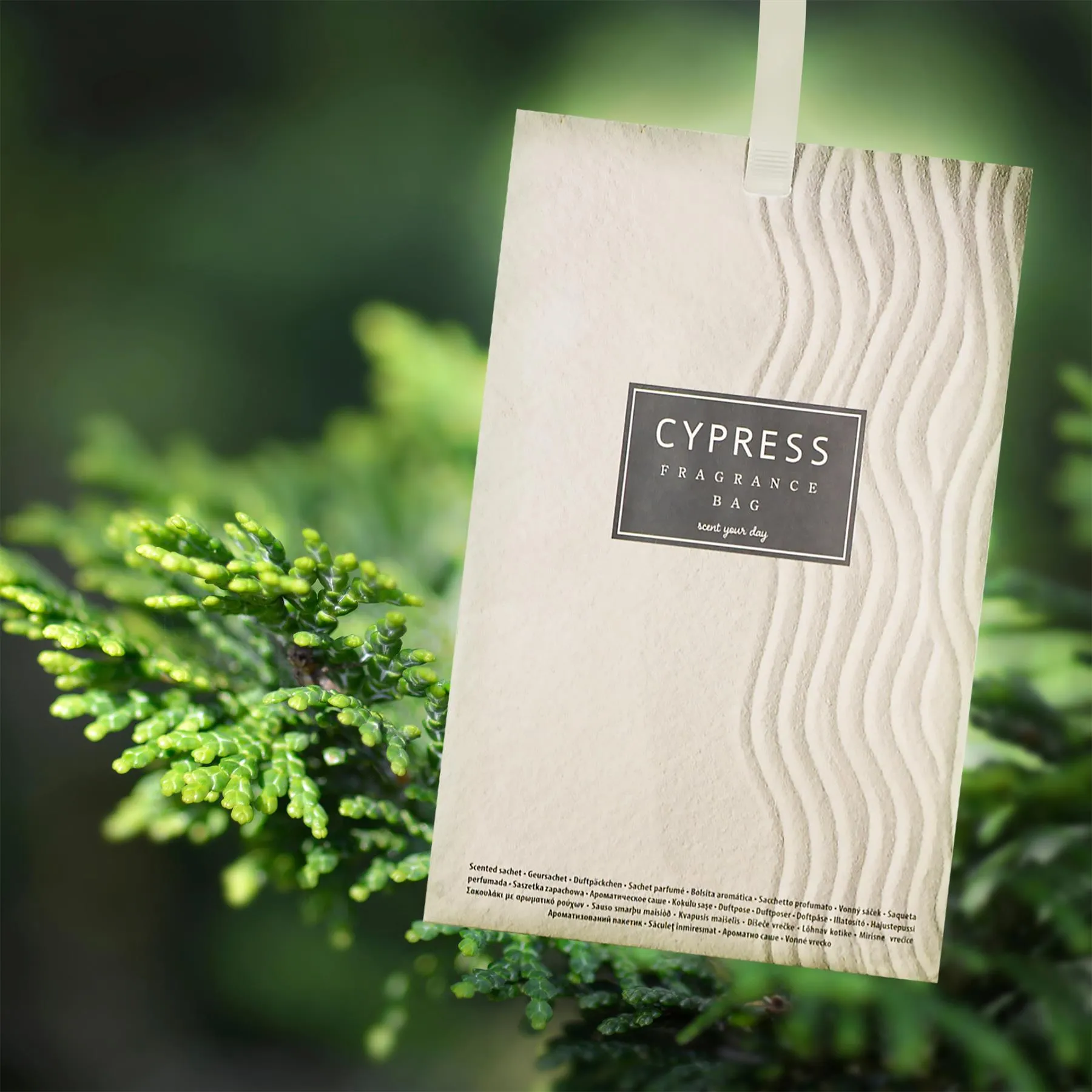 Scented Sachet - Pine and Cypress - Set of 12